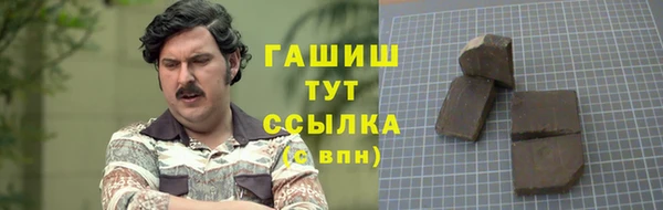 крисы Алзамай