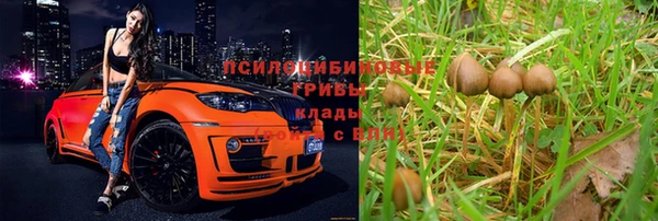 дживик Алексин