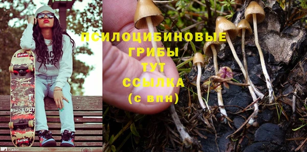 дурь Алексеевка