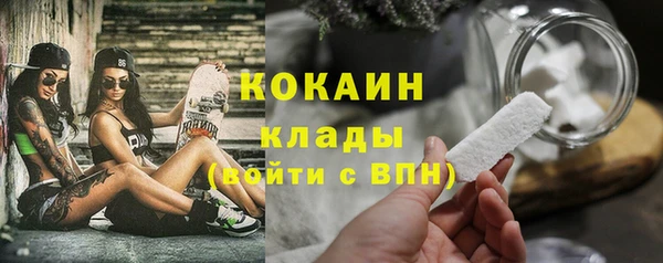 дживик Алексин