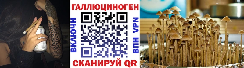 Галлюциногенные грибы MAGIC MUSHROOMS  Сосновый Бор 